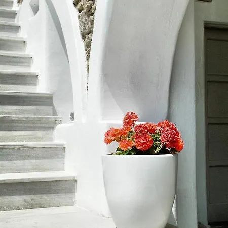 Paolas τown Boutique Ξενοδοχείο Mykonos Town
